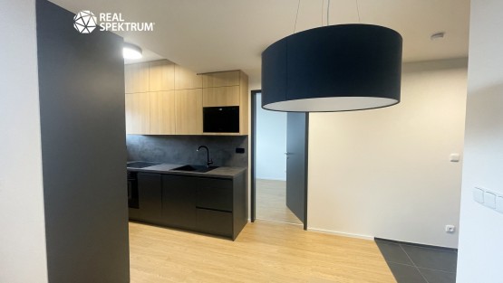 pronajem_byt_koliste_10