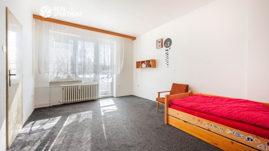 RS I DRUZSTEVNI 13, BRNO-1