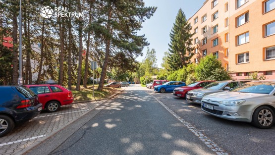 RS I DRUZSTEVNI 13, BRNO-29