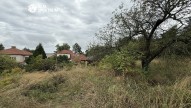 IMG_1033