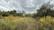 IMG_1029