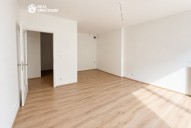 Designer(14)