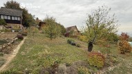 IMG_5454