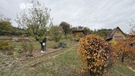 IMG_5452