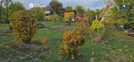 IMG-20261011-WA0013