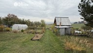 IMG_5451