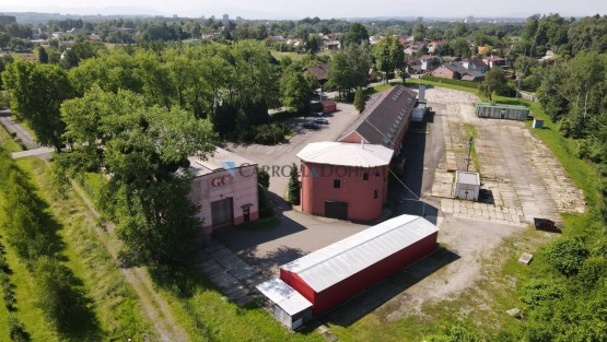 foto 5.jpg