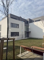 IMG_3134.jpeg