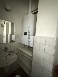 IMG_2146.jpeg