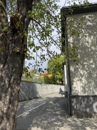 IMG_3593.jpeg