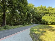 IMG_4187.jpeg