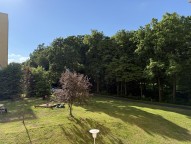 IMG_4184.jpeg