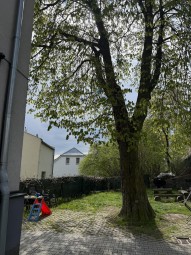 IMG_3591.jpeg