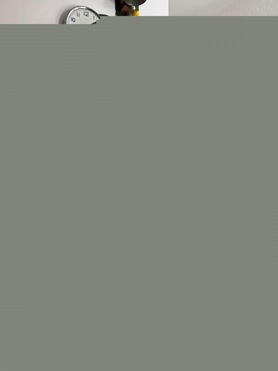 IMG-20260727-WA0021