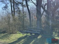 IMG_8459.JPG
