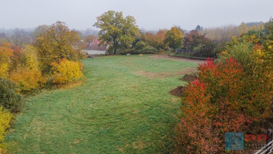 DJI_0437.jpg
