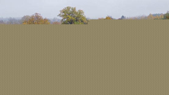 DJI_0437.jpg