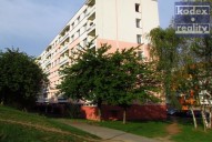 pronajem-byt-1+1-hradec-kralove-moravske-predmesti-7