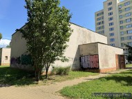 IMG_6513