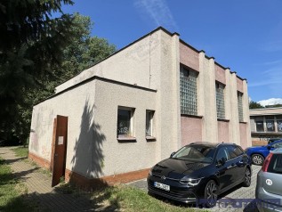 IMG_6511