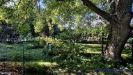 05_20251003_141139(1)