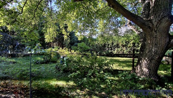 05_20251003_141139(1)