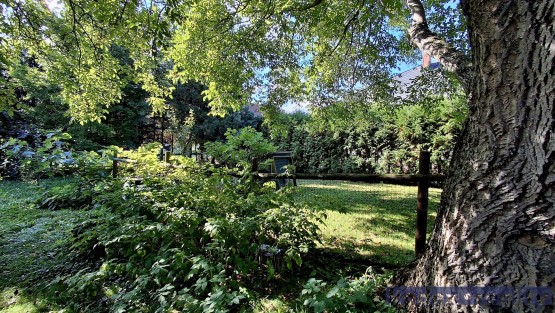 04_20251003_140845(1)