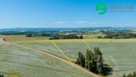 Detail: Zemědělský pozemek 40000 m2