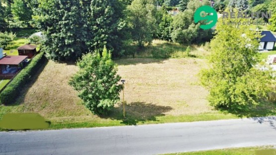 fotografie