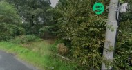 fotografie