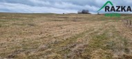 Detail: Zemědělský pozemek 387228 m2