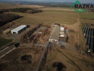 Detail: Zemědělská usedlost, 10000 m2