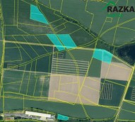 Detail: Zemědělský pozemek 19860 m2