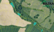 Detail: Zemědělský pozemek 6412 m2