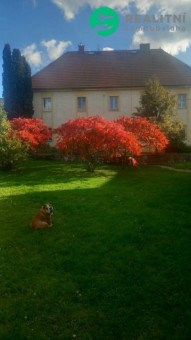 Detail: Pronájem bytu 2+1, 90 m2