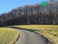 Detail: Lesní pozemek 96946 m2