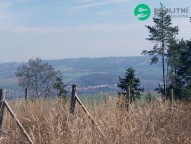 Detail: Lesní pozemek 2643 m2