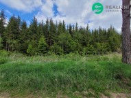 Detail: Lesní pozemek 72939 m2