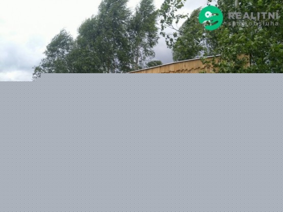 fotografie