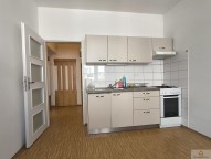 Detail: Pronájem bytu 1+1, 47 m2