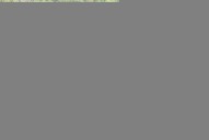 DJI_0904-Edit