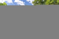 DSC05363-HDR