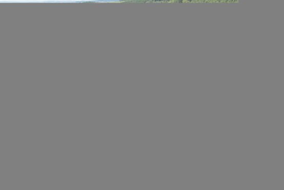 DJI_0918-Edit