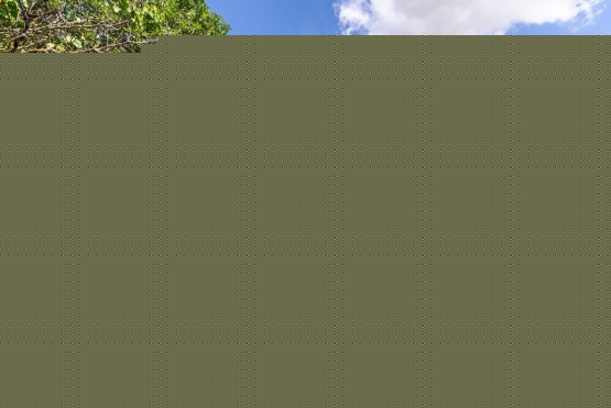 DSC05381-HDR