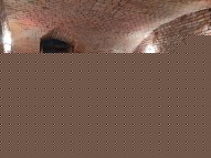 IMG_20230811_131821.jpg