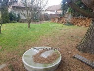 IMG-20250117-WA0010