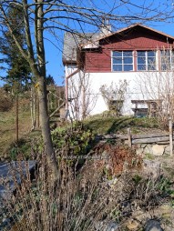 IMG-20250316-WA0000