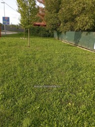 IMG_20250913_172144