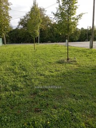 IMG_20250913_172214