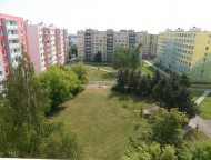 park